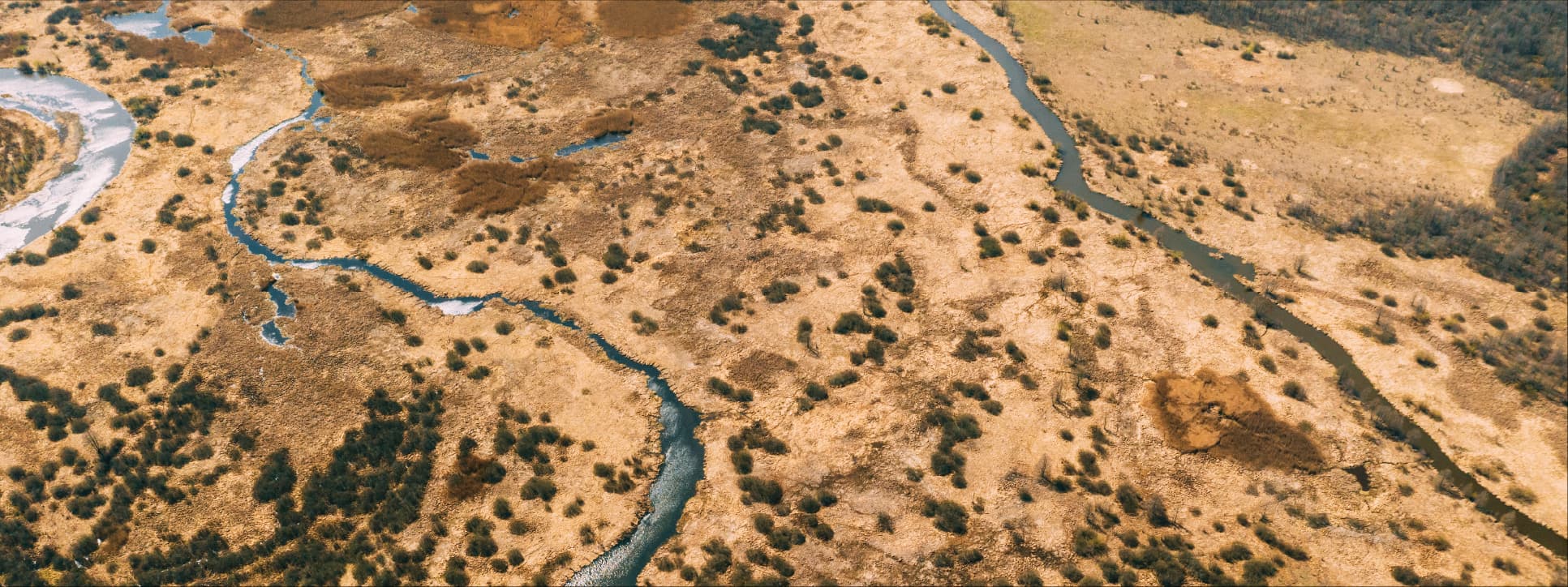 Eminos company hero image